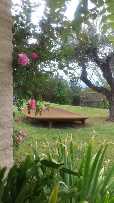 Poggio Dei Prugnoli Bed & Breakfast Tavoleto Ngoại thất bức ảnh