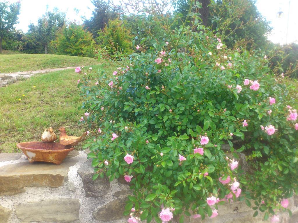 Poggio Dei Prugnoli Bed & Breakfast Tavoleto Ngoại thất bức ảnh