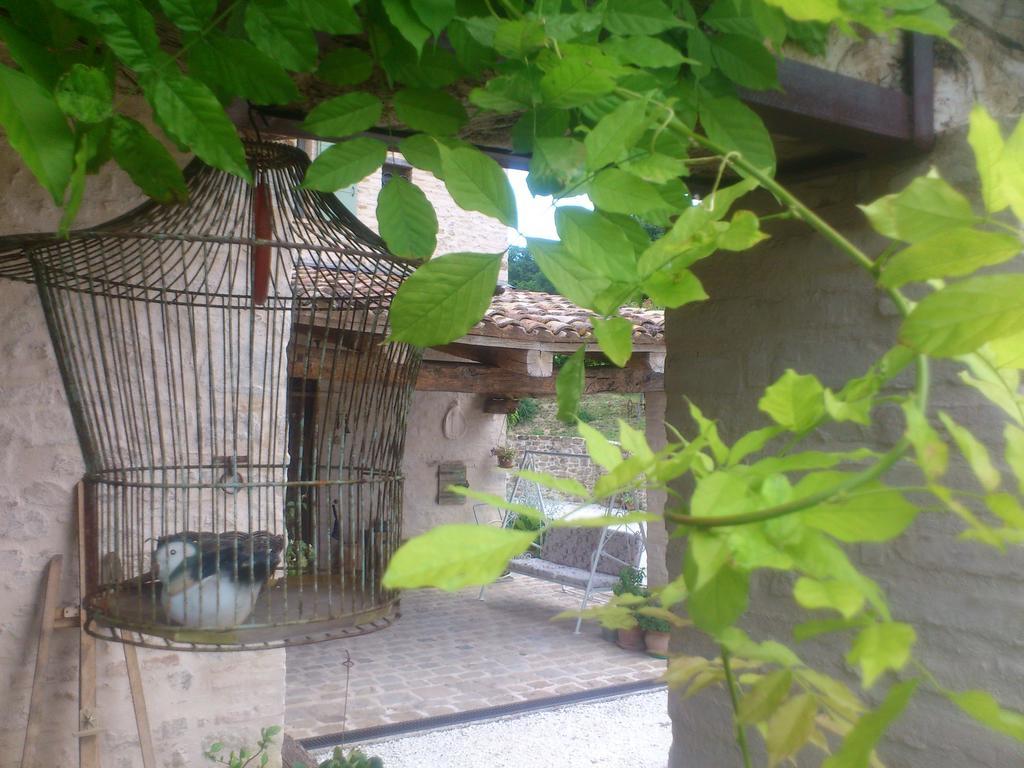Poggio Dei Prugnoli Bed & Breakfast Tavoleto Ngoại thất bức ảnh