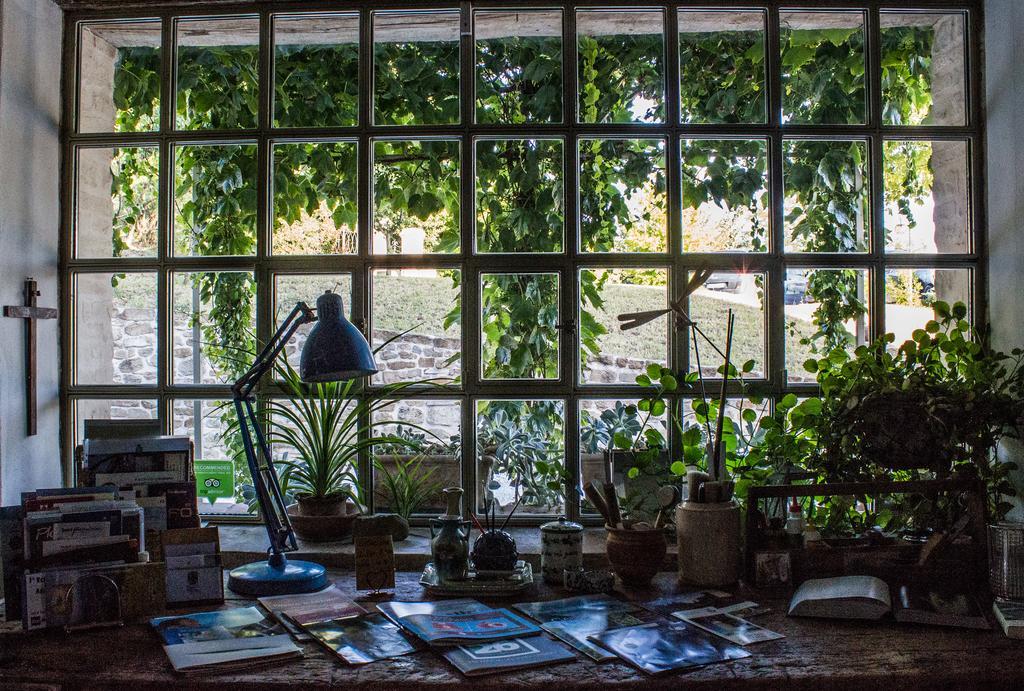 Poggio Dei Prugnoli Bed & Breakfast Tavoleto Ngoại thất bức ảnh