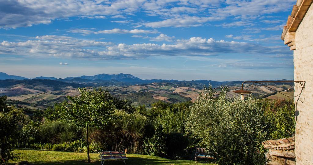 Poggio Dei Prugnoli Bed & Breakfast Tavoleto Ngoại thất bức ảnh