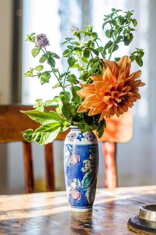 Poggio Dei Prugnoli Bed & Breakfast Tavoleto Ngoại thất bức ảnh