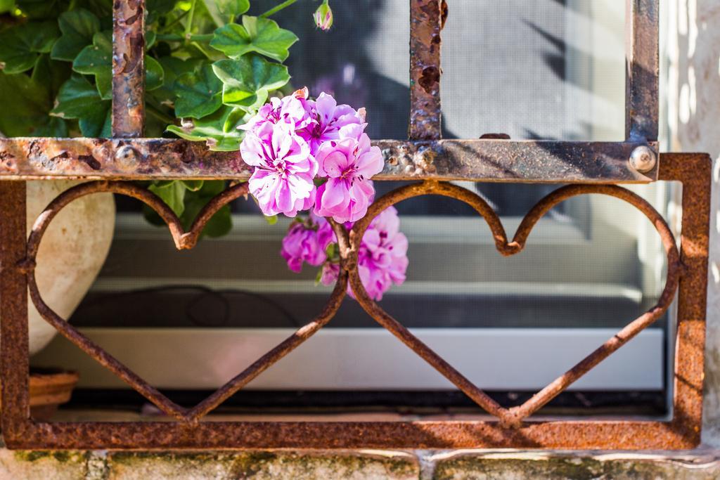 Poggio Dei Prugnoli Bed & Breakfast Tavoleto Ngoại thất bức ảnh